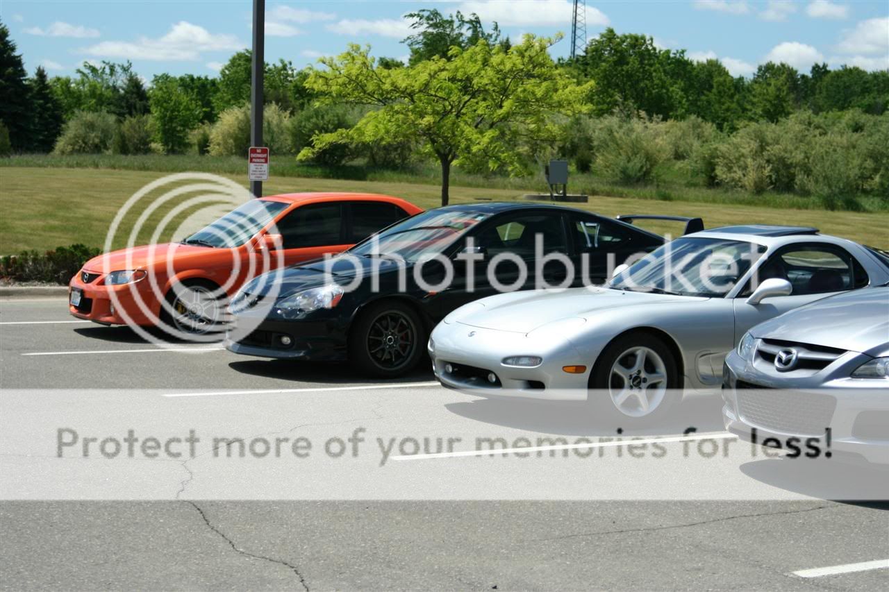 IMG_9381Custom.jpg