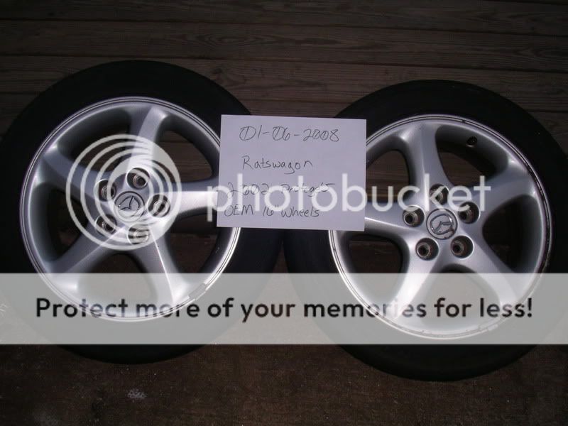IMGP3590.jpg