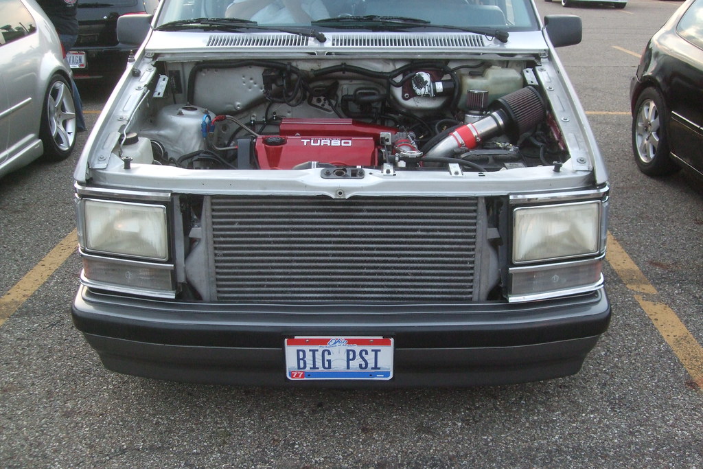 3897013174_b6913e00b9_b.jpg