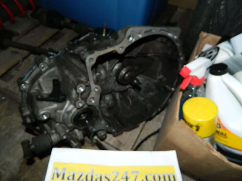 DSCN0371.jpg