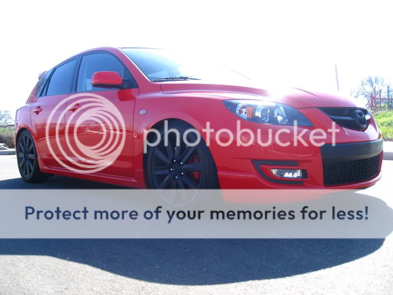 ProjectMS307008.jpg
