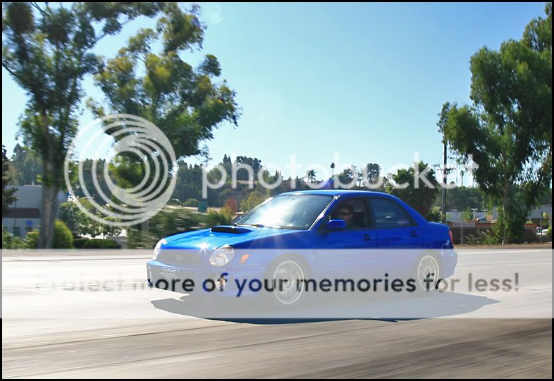 IMG_8521copy.jpg