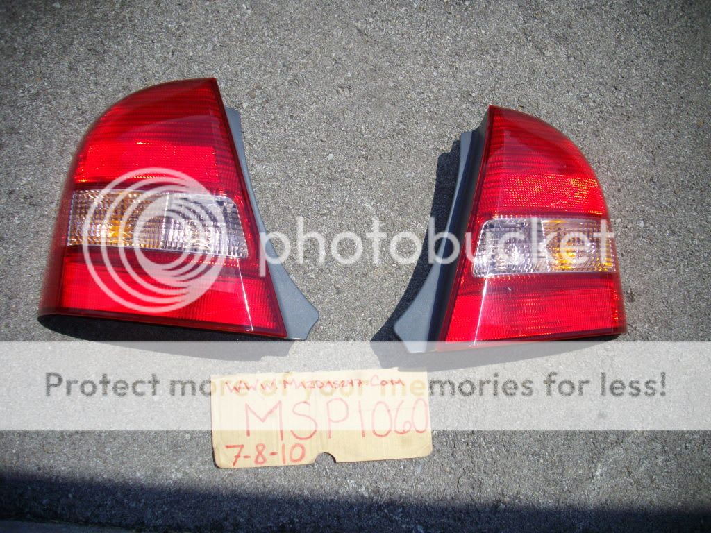 IMGP7128.jpg