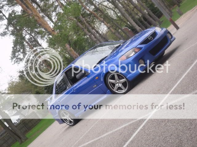 SDC11032.jpg
