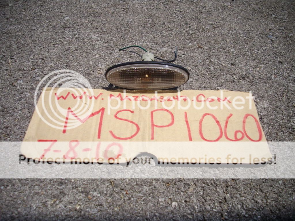 IMGP7135.jpg