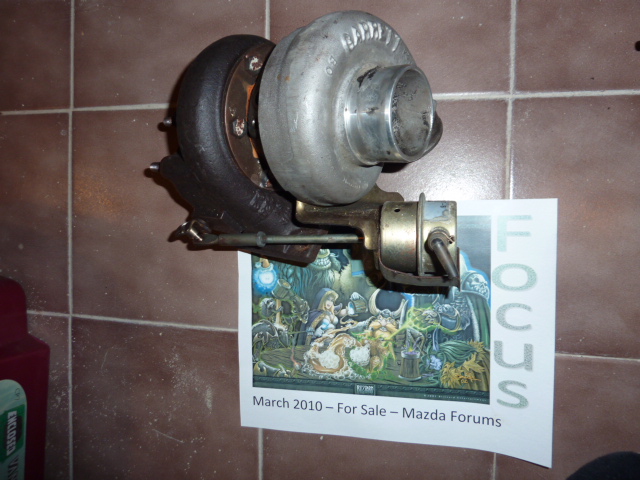 P1010186.JPG