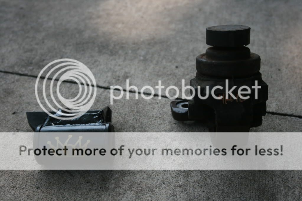 IMG_9032.jpg