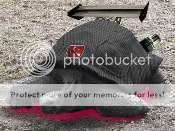 index.jpg