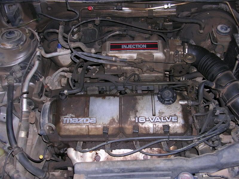 DSCN1643.jpg