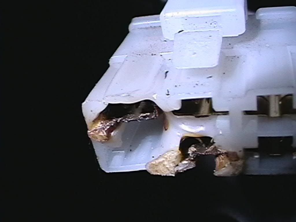 PANA0160_zpsdfecf552.jpg
