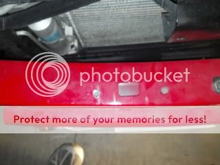 pics146.jpg