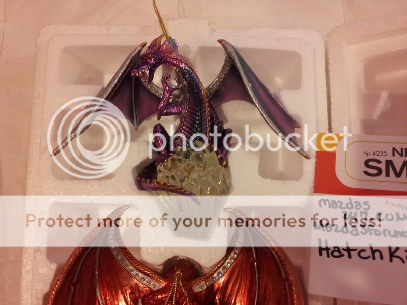 2011-08-02172923.jpg