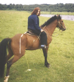 horse_pee.jpg