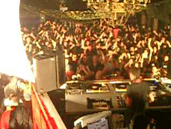 540544422_l.gif