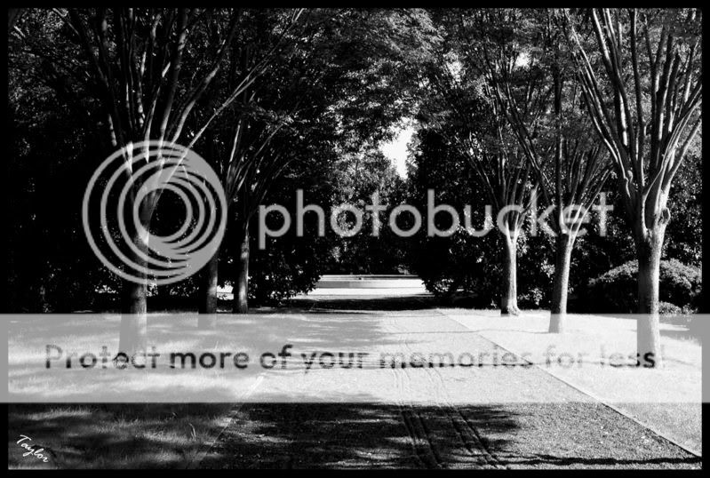 IMGP0687.jpg