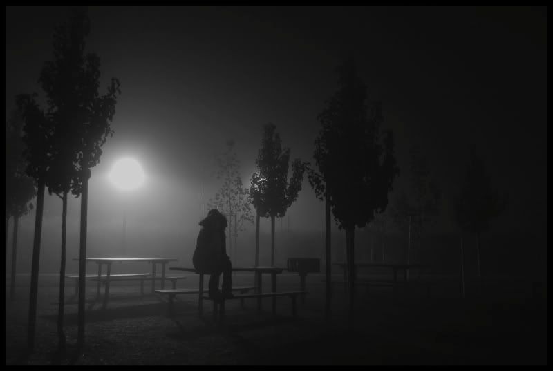 344223d4.jpg