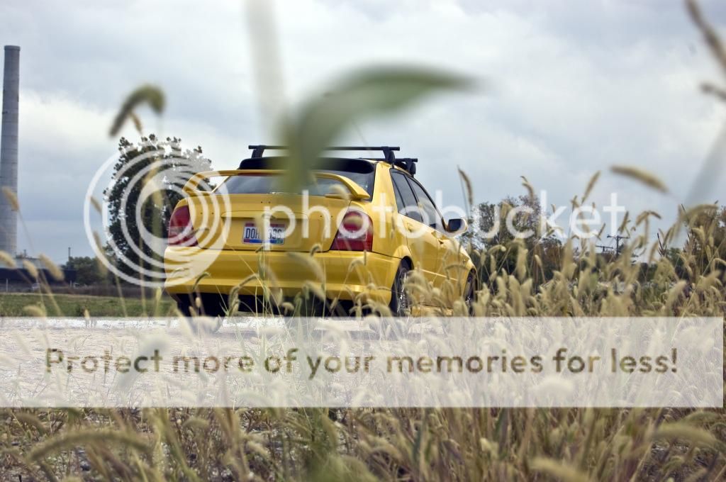 DSC_0187_zps4e3ff0fc.jpg
