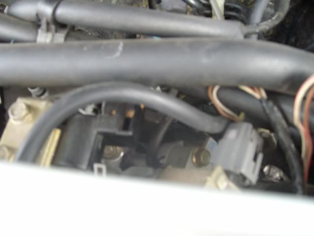 SANY0203.jpg