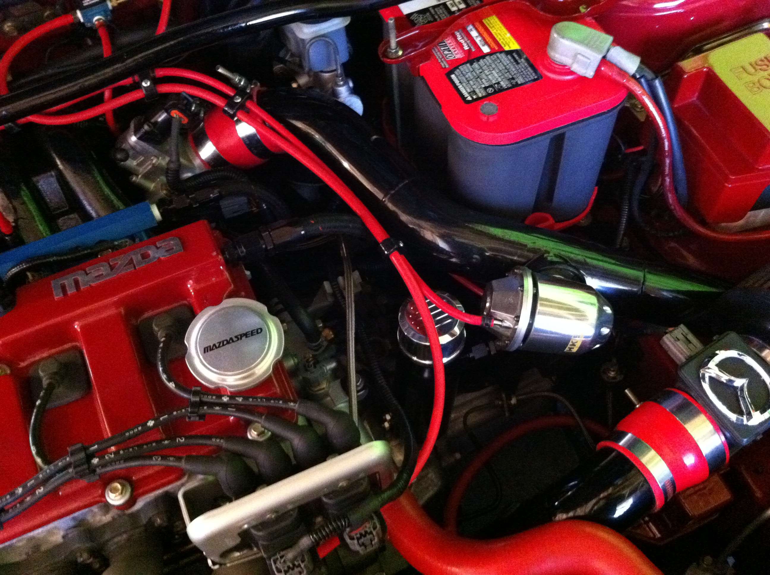 img1435t.jpg