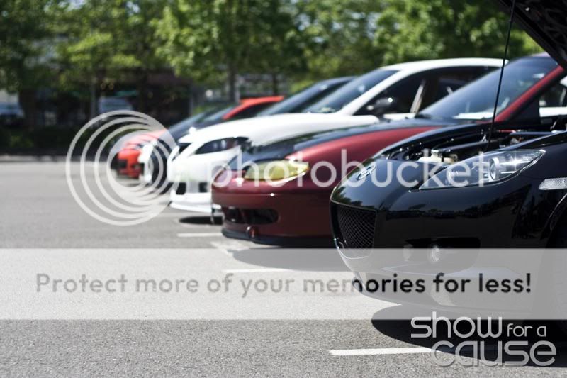3718446278_f3d75970f9_o1.jpg