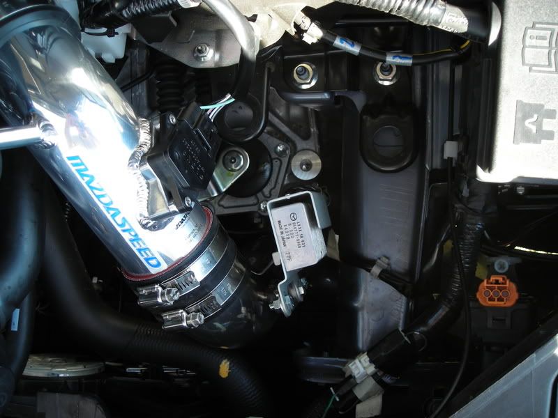 DSCN0170.jpg