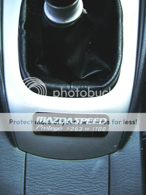 PlatePic1.jpg