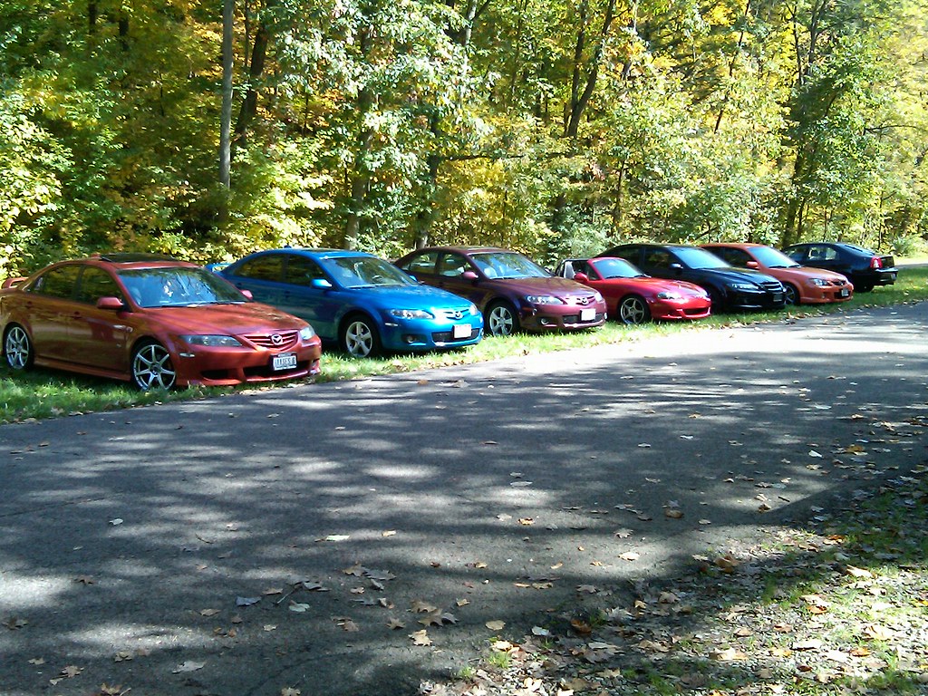 4003932059_fca61d8cc4_b.jpg