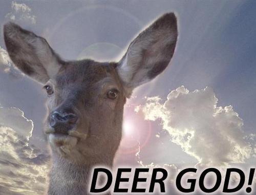 tumblr_lo010r35Ex1qbrqam.jpg