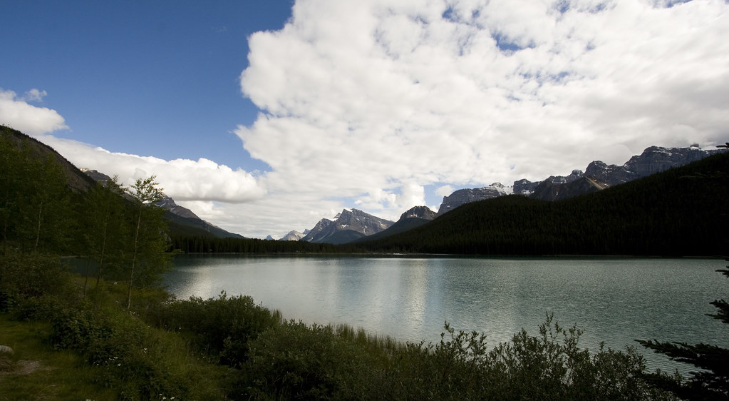 2726496509_c0e5f63719_b.jpg