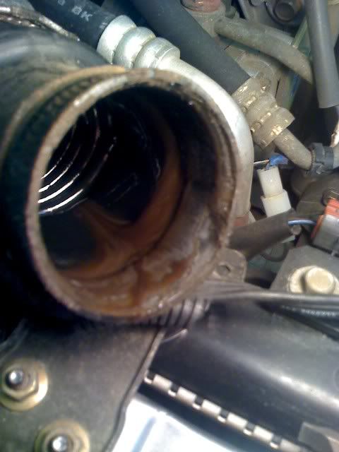 25-03-09_2325.jpg