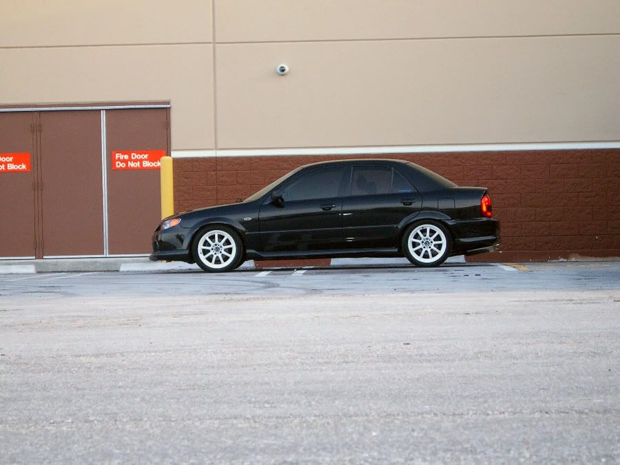 opt10.jpg