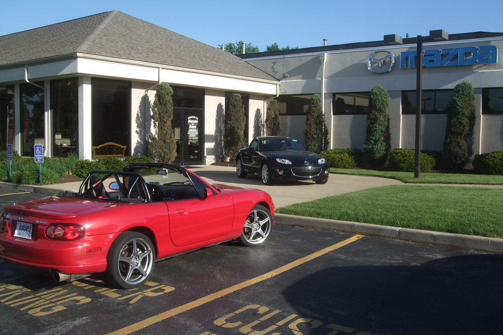 3552092699_bcc043f80d_b.jpg