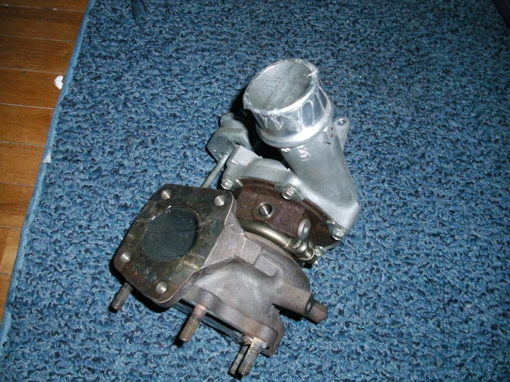 SANY0262.jpg