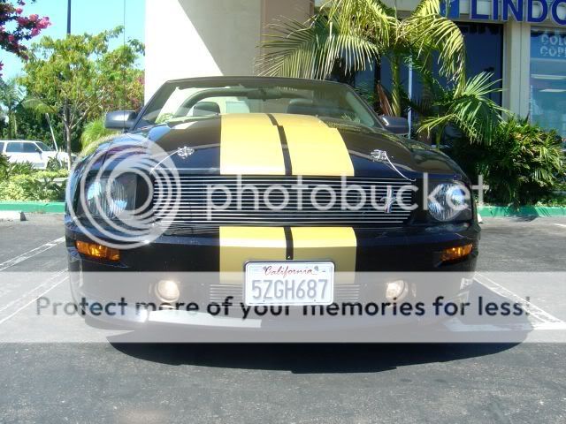 DSC00804-1.jpg