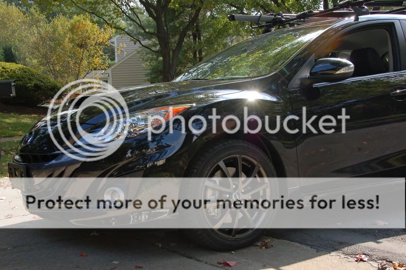 DSC_0008PSE.jpg