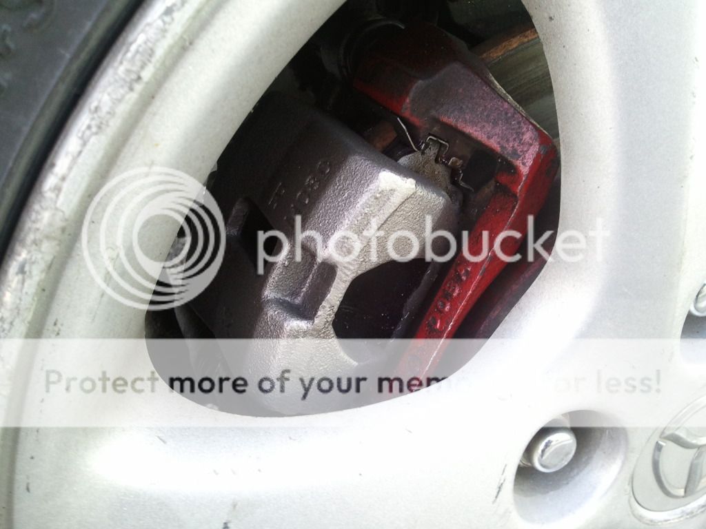 2012-01-31142529.jpg