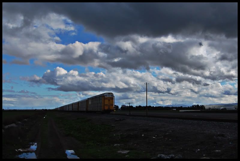 DSC_0615.jpg