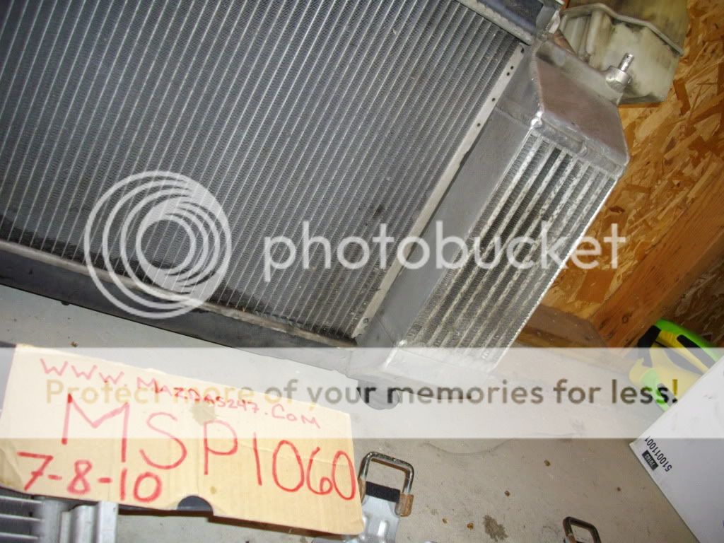 IMGP7121.jpg