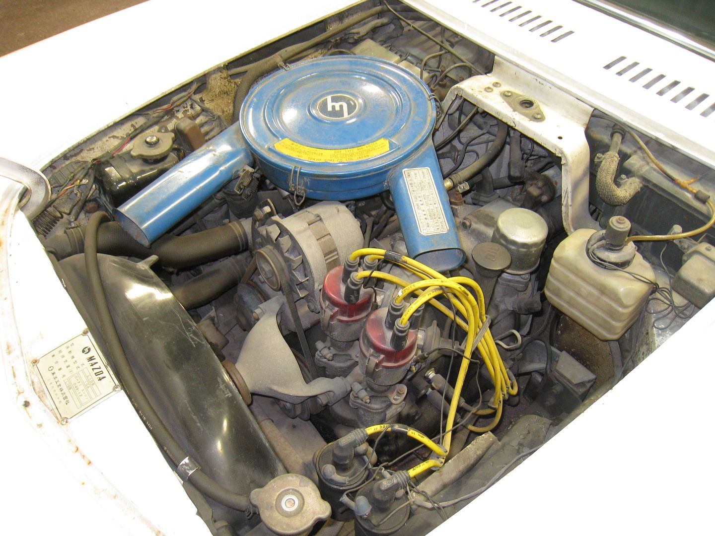 19-11-2009037.jpg