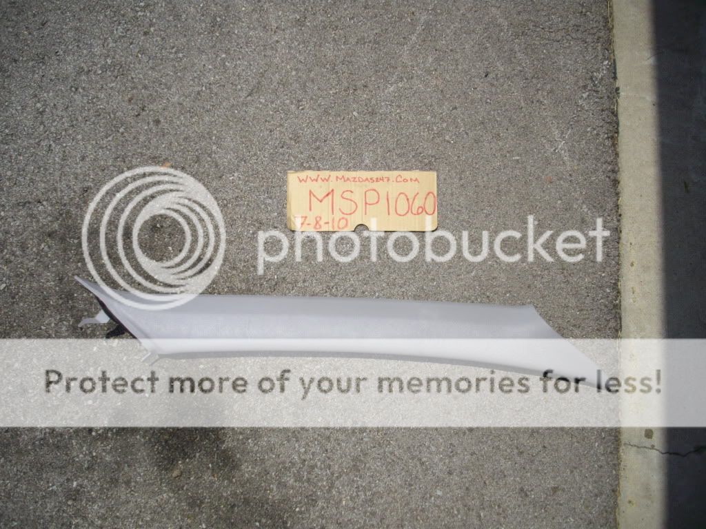 IMGP7113.jpg