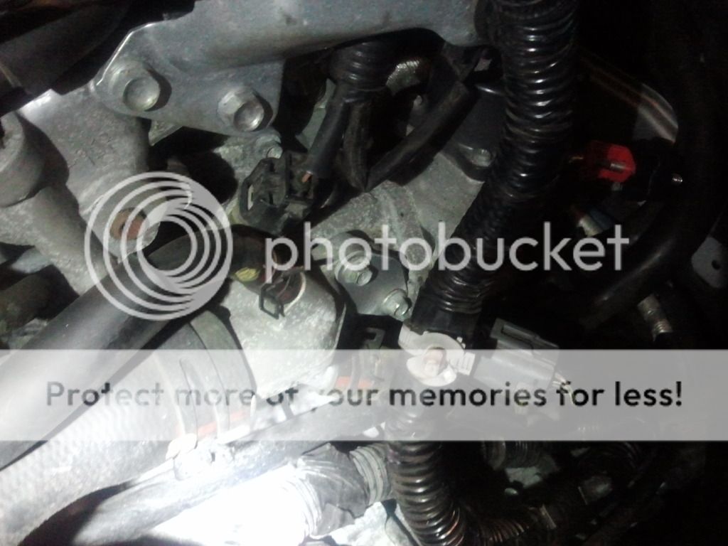 2012-07-25210616.jpg