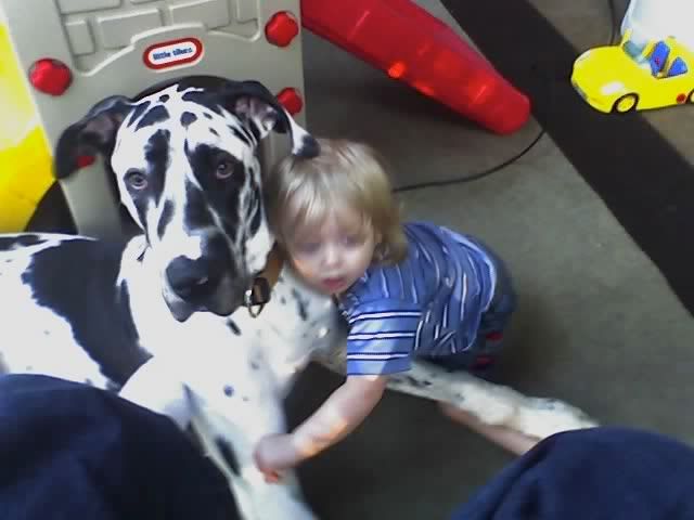 02-01-08_1718.jpg