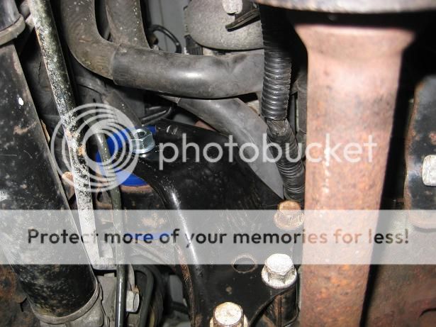 rear_insert_installed02.jpg