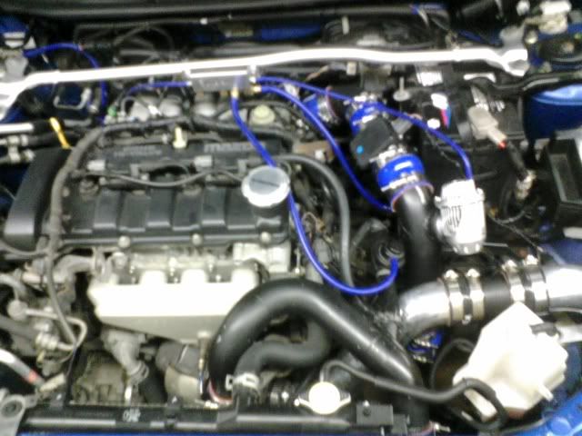 p_00010.jpg