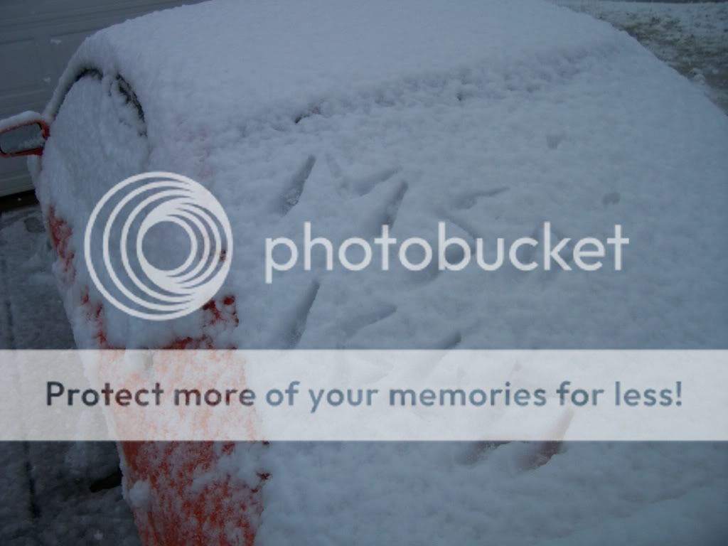 SnowDay2009009.jpg