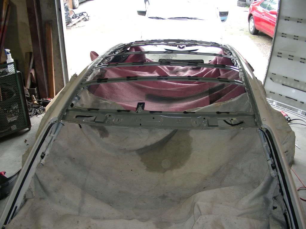 DSCN0512.jpg