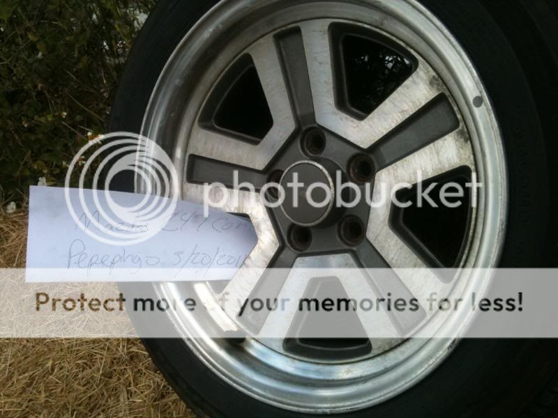 photo7.jpg