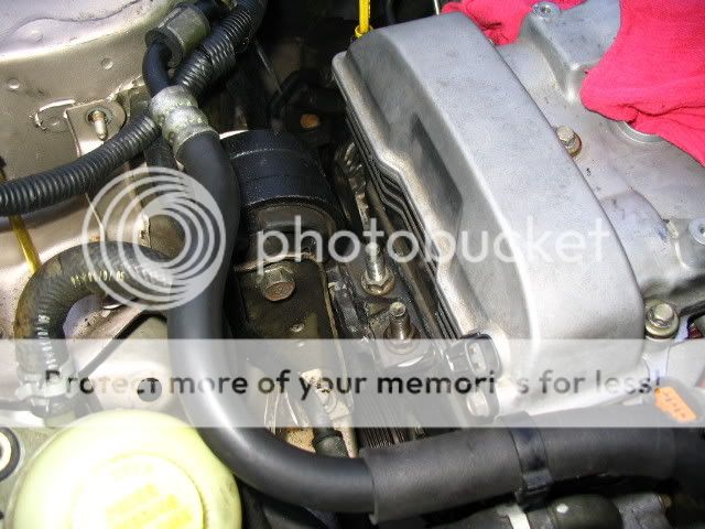 IMG_1668.jpg