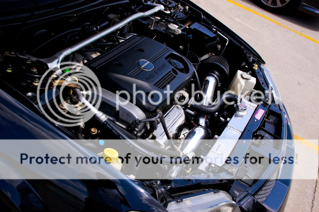 Option2-0489.jpg