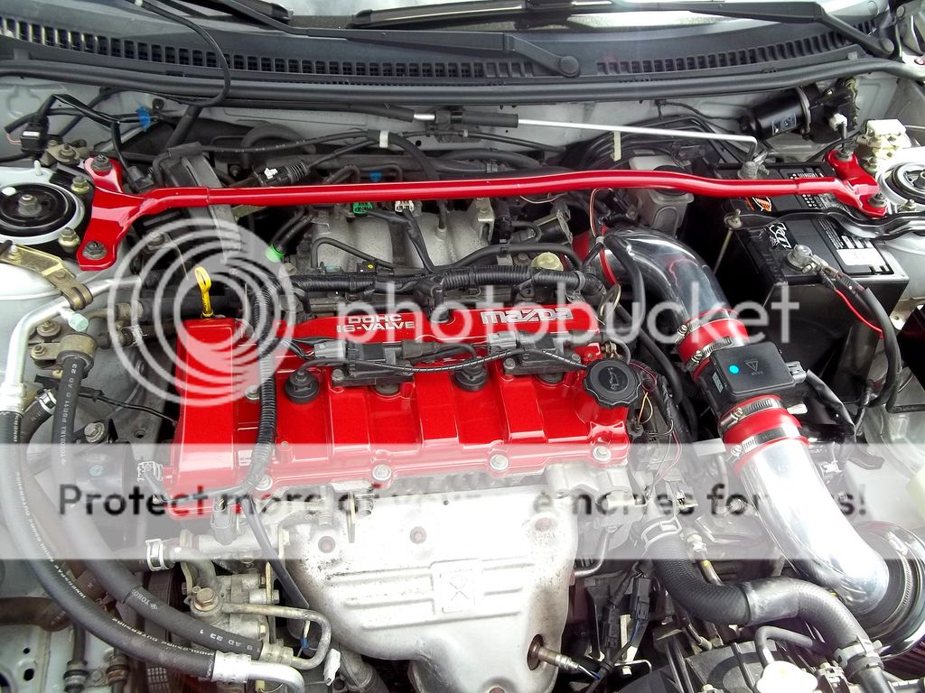 6957346054_919635cf33_b.jpg
